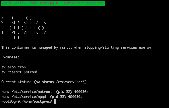 Postgres Shell start
